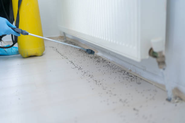 Best Pest Inspection Near Me  in Suitland, MD