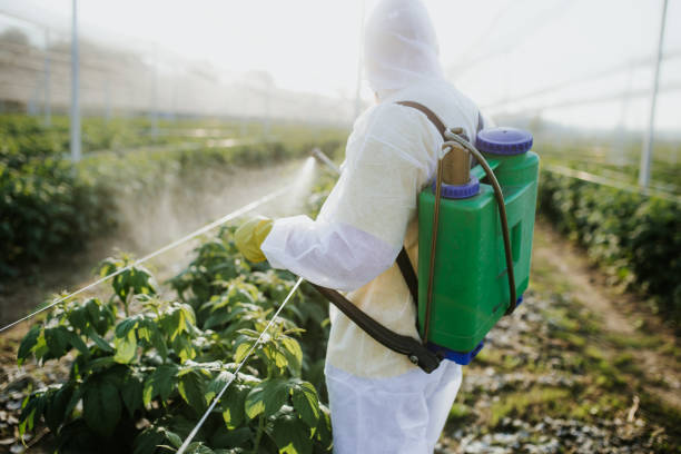 Best Bed Bug Extermination  in Suitland, MD